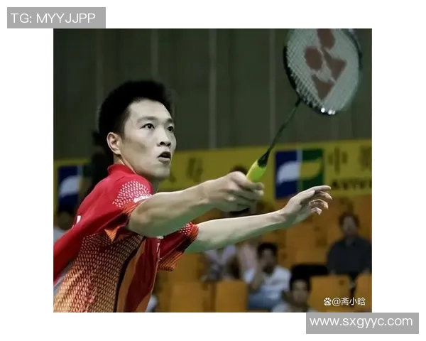 南京羽毛球队个人能力分析与数据解读探讨 南京羽毛球队个人能力分析与数据解读探讨