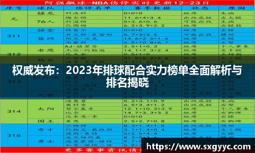 权威发布：2023年排球配合实力榜单全面解析与排名揭晓