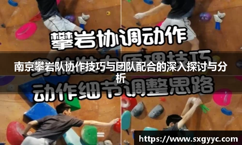 南京攀岩队协作技巧与团队配合的深入探讨与分析