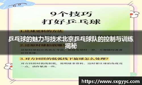 乒乓球的魅力与技术北京乒乓球队的控制与训练揭秘