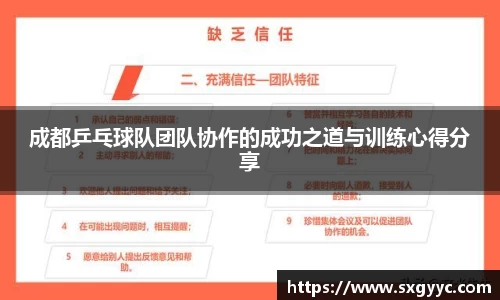 成都乒乓球队团队协作的成功之道与训练心得分享