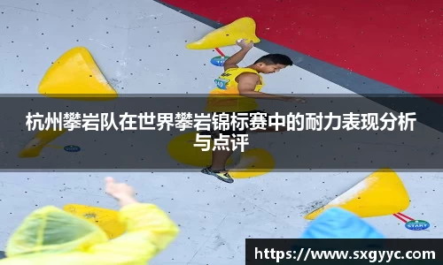 杭州攀岩队在世界攀岩锦标赛中的耐力表现分析与点评