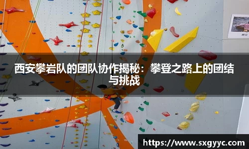 西安攀岩队的团队协作揭秘：攀登之路上的团结与挑战