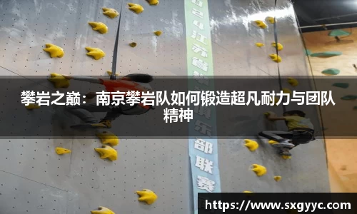 攀岩之巅：南京攀岩队如何锻造超凡耐力与团队精神